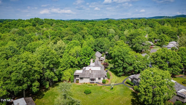 100 Periwinkle Pl Unit 100, Kingsport, TN 37660 - aerial view of a heavily wooded area
