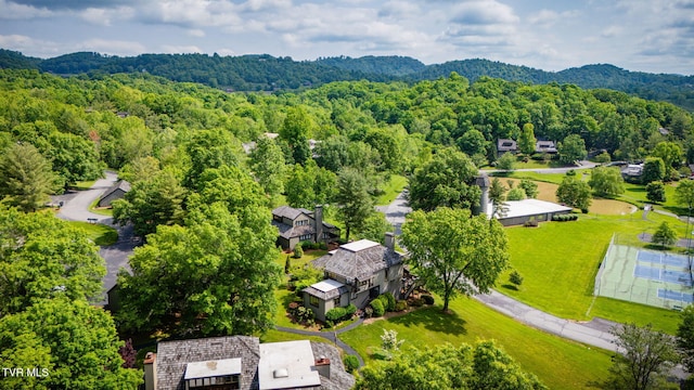 100 Periwinkle Pl Unit 100, Kingsport, TN 37660 - drone / aerial view of a forest