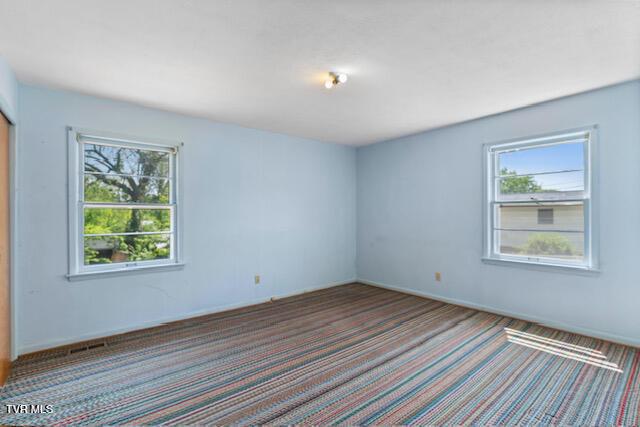spare room with carpet and a wealth of natural light