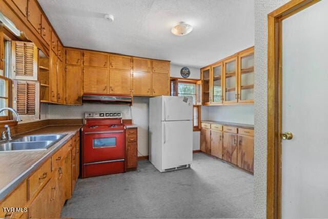kitchen with freestanding refrigerator, open shelves, light carpet, stove, and a sink