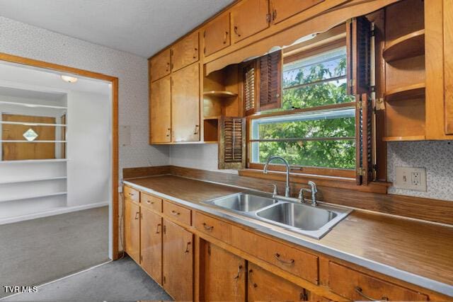 kitchen with a sink, carpet floors, open shelves, and brown cabinets