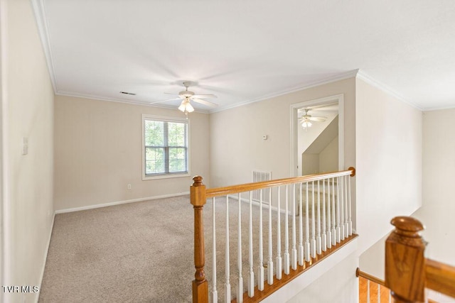 1414 Andera Dr, Maryville, TN 37801 - photo 20