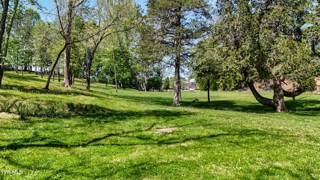 1912 King College Rd, Bristol, TN 37620