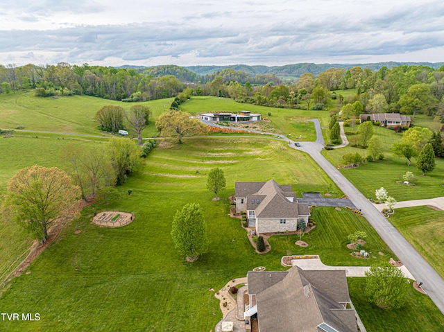 aerial view