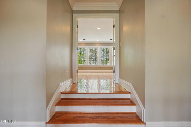 500 NW Ridge Ave, Norton, VA 24273 - stairs with ornamental molding, baseboards, and hardwood / wood-style floors