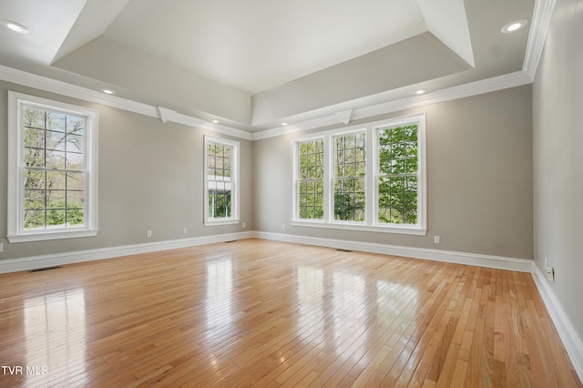 500 NW Ridge Ave, Norton, VA 24273 - unfurnished room featuring a raised ceiling, light wood finished floors, baseboards, and ornamental molding