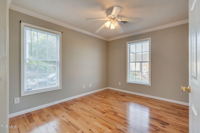 241 Stone Edge Cir, Kingsport, TN 37660 - empty room featuring a textured ceiling, ornamental molding, and light wood-type flooring