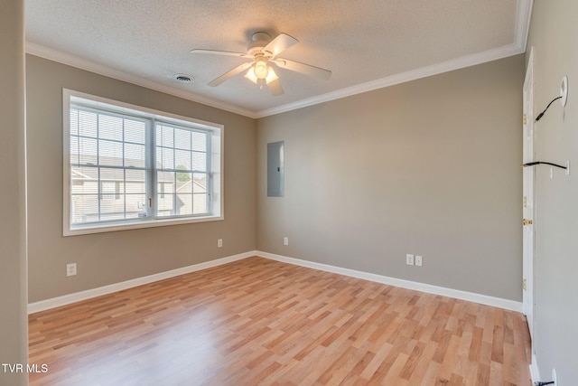 241 Stone Edge Cir, Kingsport, TN 37660 - spare room with ornamental molding, light wood-style flooring, and electric panel