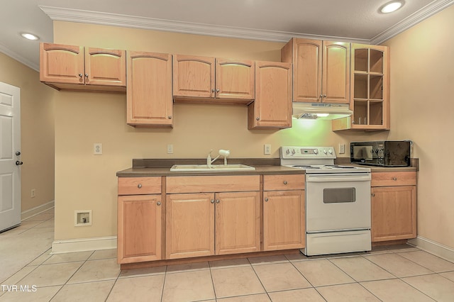 2304 Granite Dr, Johnson City, TN 37604 - kitchen with crown molding, black microwave, a sink, electric stove, and under cabinet range hood