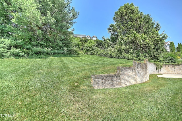 2304 Granite Dr, Johnson City, TN 37604 - view of yard