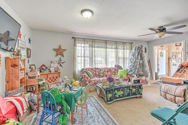 609 Hollyhill Rd, Johnson City, TN 37604 - photo 8