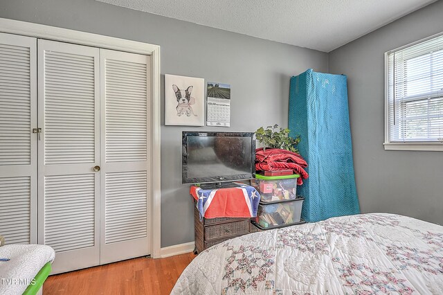 609 Hollyhill Rd, Johnson City, TN 37604 - photo 20
