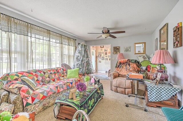 609 Hollyhill Rd, Johnson City, TN 37604 - photo 9