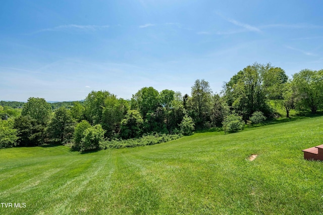 436 Headtown Rd, Jonesborough, TN 37659 - view of yard