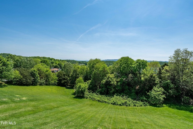 436 Headtown Rd, Jonesborough, TN 37659 - view of yard featuring a wooded view