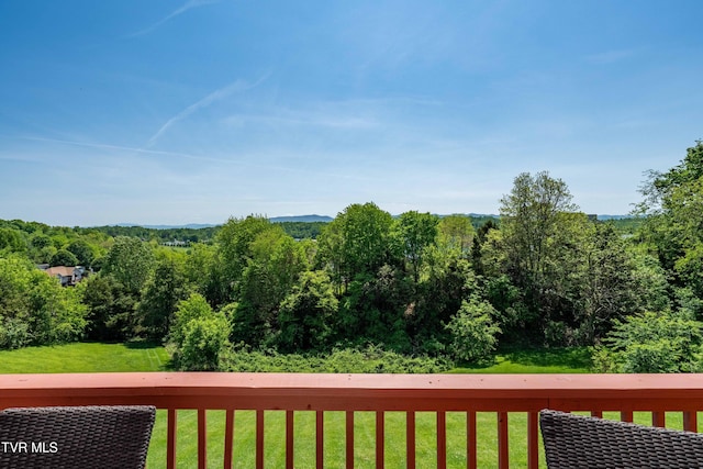 436 Headtown Rd, Jonesborough, TN 37659 - exterior space featuring a lawn