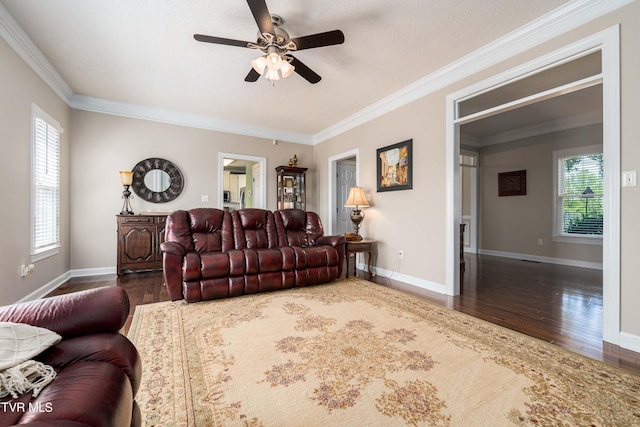 436 Headtown Rd, Jonesborough, TN 37659 - living room featuring baseboards, a ceiling fan, wood finished floors, and a healthy amount of sunlight