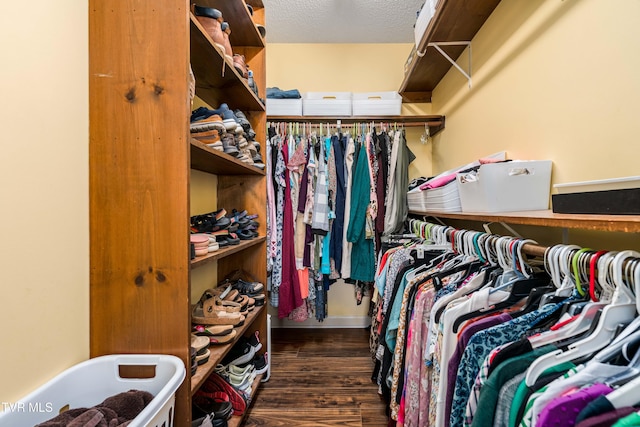 436 Headtown Rd, Jonesborough, TN 37659 - walk in closet featuring wood finished floors