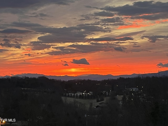 436 Headtown Rd, Jonesborough, TN 37659 - view of mountain feature