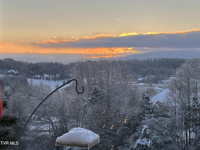 436 Headtown Rd, Jonesborough, TN 37659 - water view with a wooded view