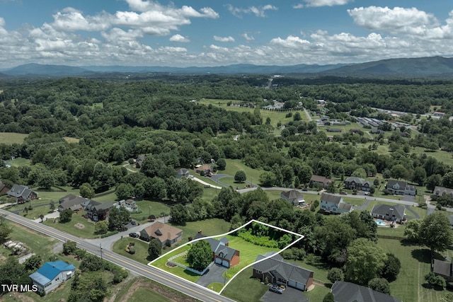 436 Headtown Rd, Jonesborough, TN 37659 - aerial view of property's location with property parcel outlined and a mountainous background