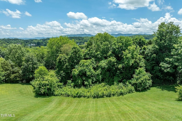 436 Headtown Rd, Jonesborough, TN 37659 - view of mountain background featuring a heavily wooded area