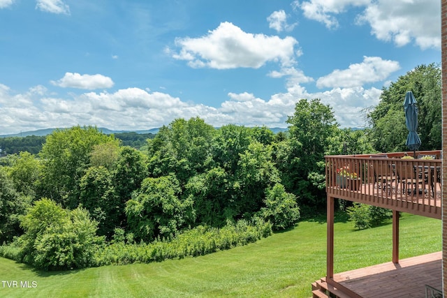 436 Headtown Rd, Jonesborough, TN 37659 - view of grassy yard featuring a deck