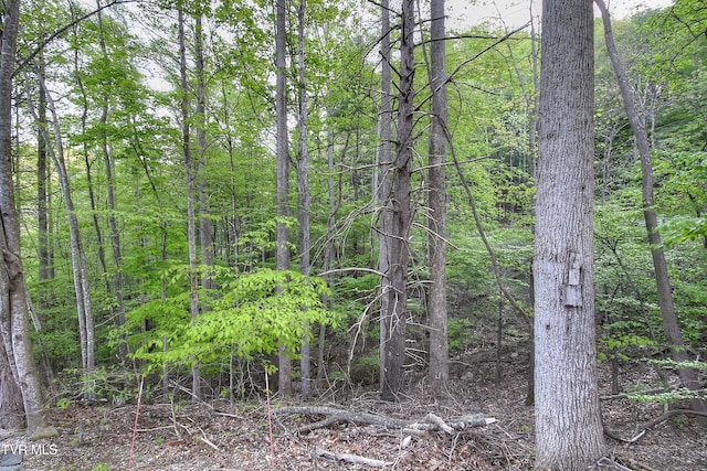 view of nature with a view of trees