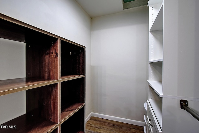 walk in closet with dark wood finished floors