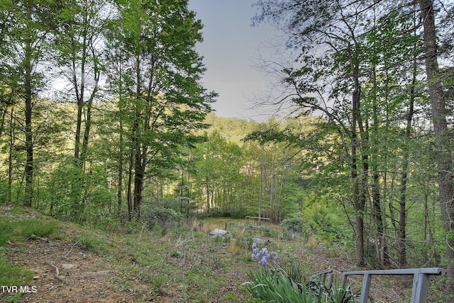 view of nature featuring a wooded view