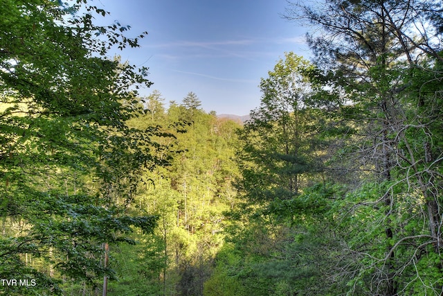 view of nature featuring a wooded view