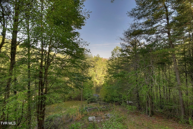 view of landscape with a forest view