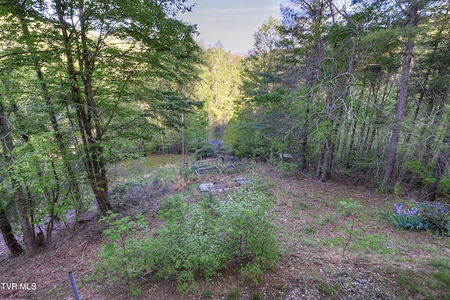 view of yard featuring a view of trees