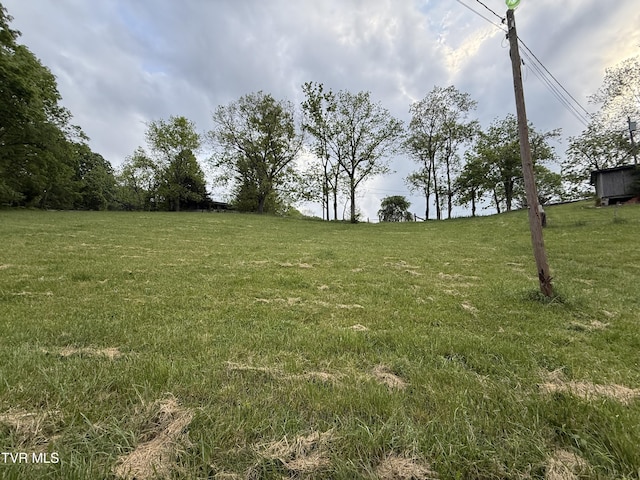 125 Babb Rd, Elizabethton, TN 37643 - view of yard