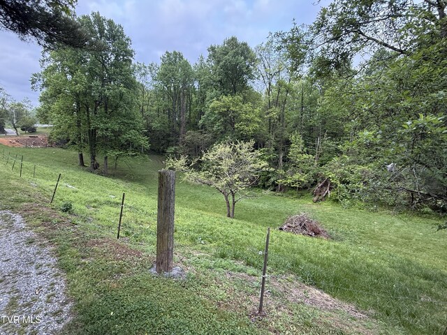 125 Babb Rd, Elizabethton, TN 37643 - view of yard