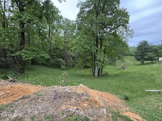 125 Babb Rd, Elizabethton, TN 37643 - view of yard