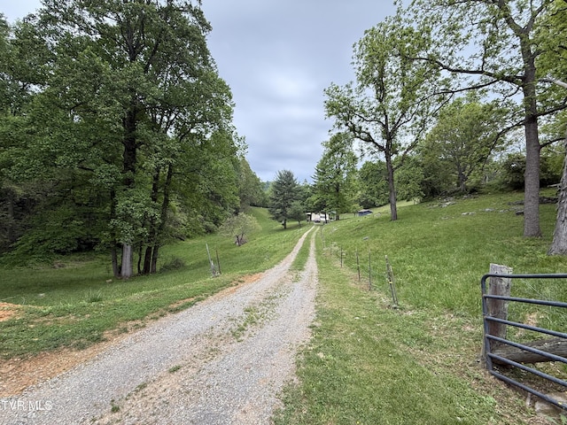 125 Babb Rd, Elizabethton, TN 37643 - view of street with a gated entry and driveway