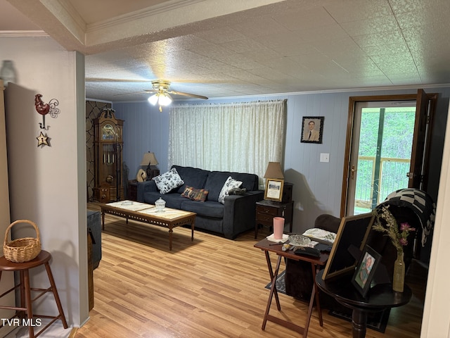 125 Babb Rd, Elizabethton, TN 37643 - living area featuring crown molding, ceiling fan, and light wood-type flooring