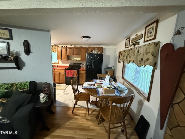 125 Babb Rd, Elizabethton, TN 37643 - dining room with wood finished floors