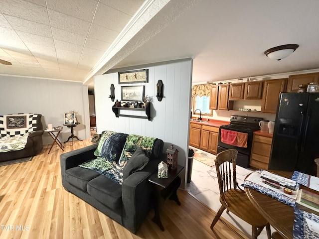 125 Babb Rd, Elizabethton, TN 37643 - living area featuring ornamental molding and light wood-style flooring