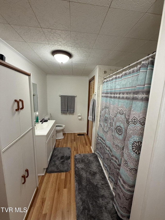 125 Babb Rd, Elizabethton, TN 37643 - bathroom featuring vanity, wood finished floors, toilet, and a shower with curtain
