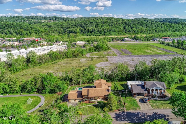 2653 Suffolk St, Kingsport, TN 37660 - drone / aerial view of a forest