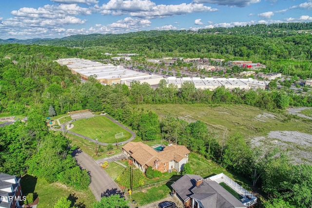 2653 Suffolk St, Kingsport, TN 37660 - drone / aerial view of a forest