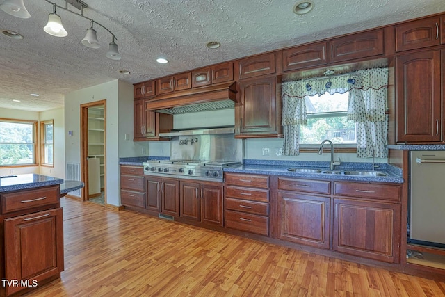 2653 Suffolk St, Kingsport, TN 37660 - kitchen featuring a sink, stainless steel gas stovetop, light wood-style flooring, custom exhaust hood, and a textured ceiling
