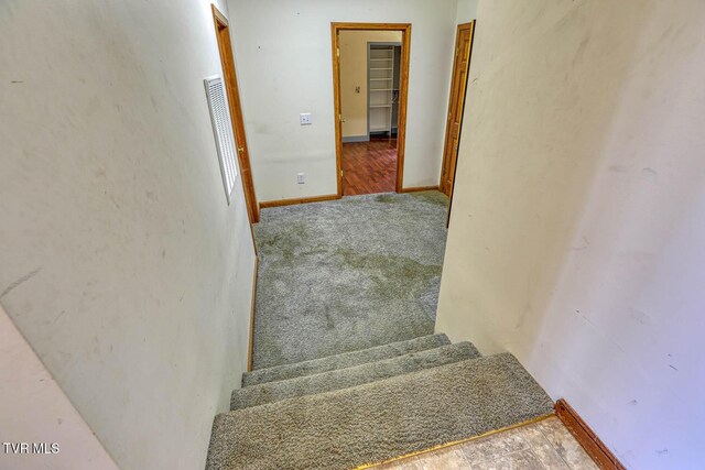 2653 Suffolk St, Kingsport, TN 37660 - stairs featuring carpet flooring and baseboards