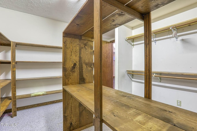 2653 Suffolk St, Kingsport, TN 37660 - walk in closet featuring carpet