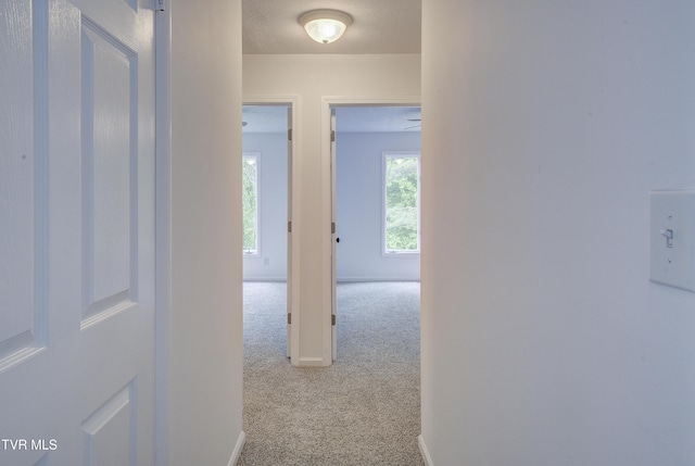 hall with carpet and baseboards