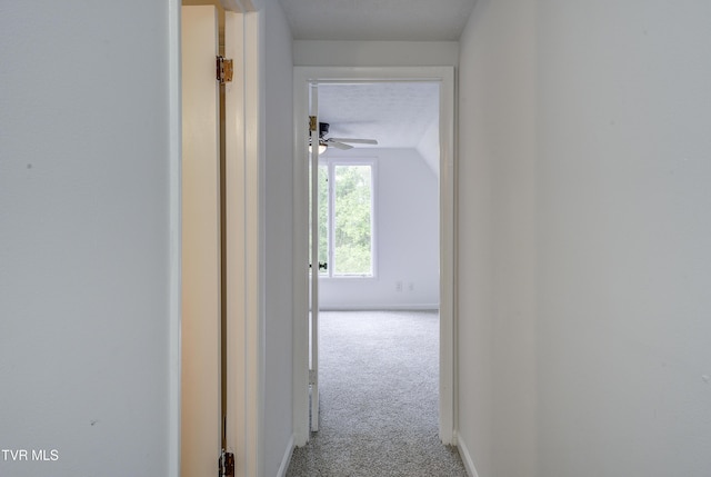 hallway with carpet and baseboards