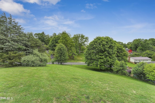 view of grassy yard