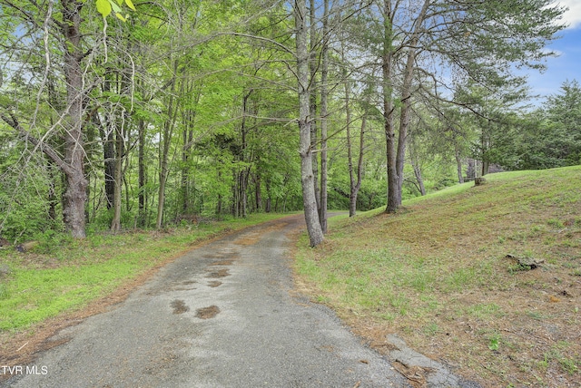 view of street with a view of trees